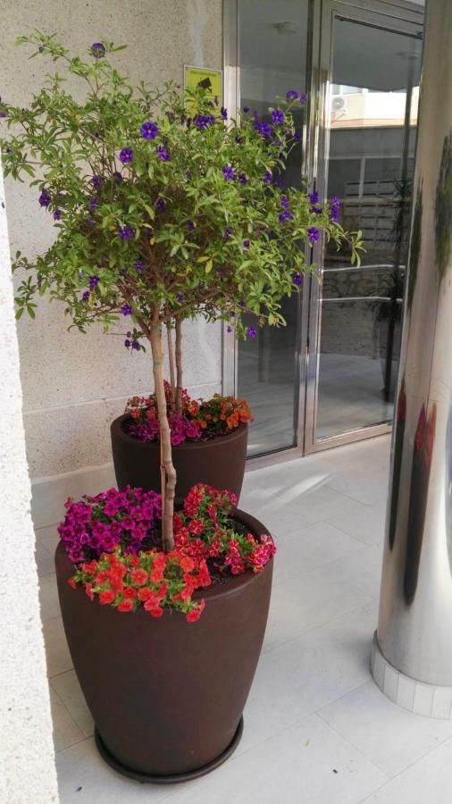 Azul Rentals Benidorm Flat Dış mekan fotoğraf